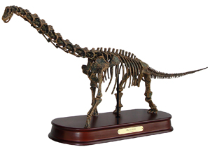 Brachiosaurus Skeleton Model