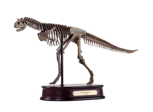 Carnotaurus Skeleton Model