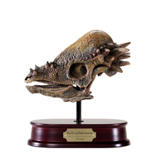 Pachycephalosaurus Skull Model