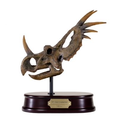 Styracosaurus Skull Model