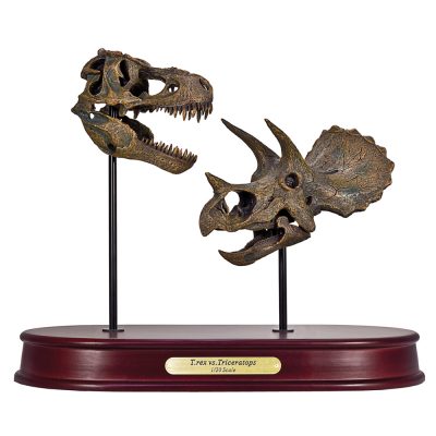 T. rex vs Triceratops Mini Skulls Model