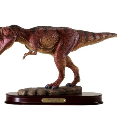 Tyrannosaurus Rex / T.rex Finished Model