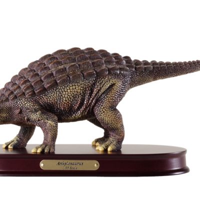 Ankylosaurus Finished Model