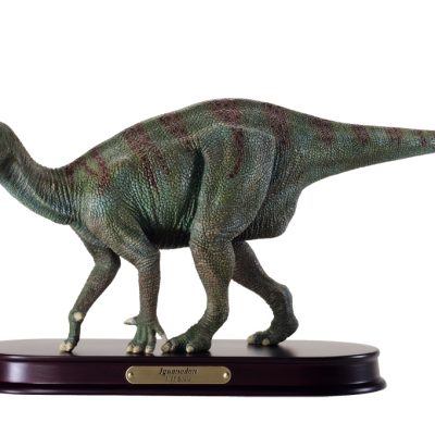 Iguanodon Finished Model