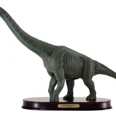 Brachiosaurus Finished Model