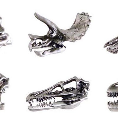 Dinosaur Skull Pewter Magnet Set